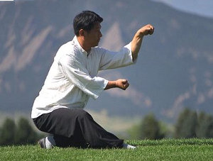 Xingyi Quan